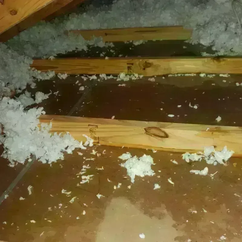 Attic Water Damage in Campbell, CA