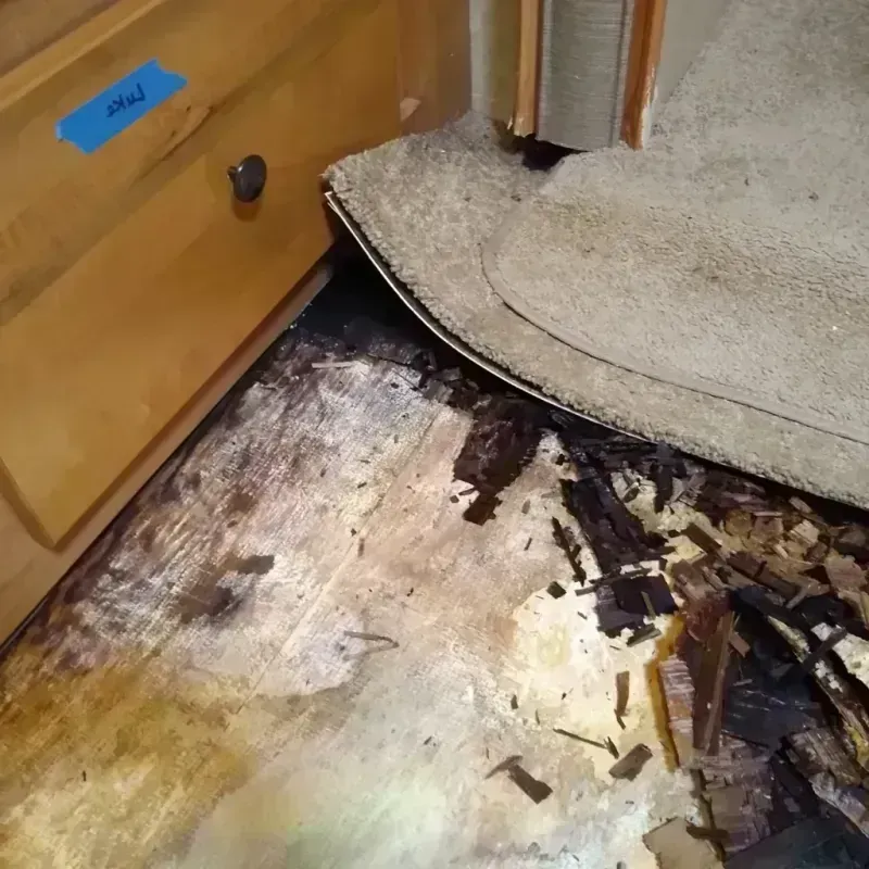 Best Wood Floor Water Damage Service in Campbell, CA